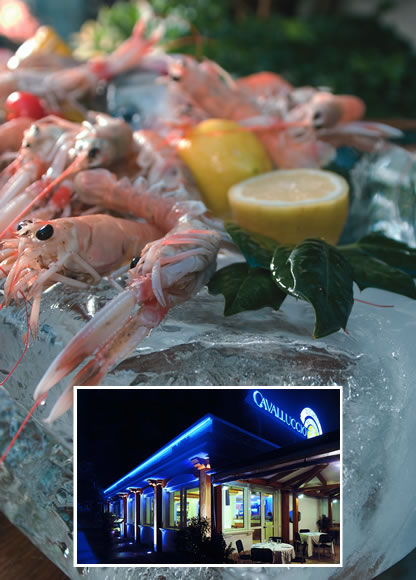 Ristorante Cavalluccio Marino Riccione